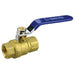 Pneumatics-pro Brass Ball Valves 2-1/2" FULL PORT BRASS BALL VALVE