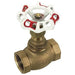 Pneumatics-pro Brass Globe and Gate Valves 2" BRONZE GLOBE VALVE