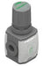 PNEUMAX N172ARMC : PNEUMAX Regulator 1/4",Taille 2 , Integrated pressure gauge, 0-8 Bar