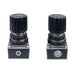 PRONA Pressure Regulator RP-101 : Prona Air Regulator