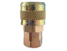 TOPRING Quick Couplers 20.444.05 : Topring Quick Couplers : COUPLER AUTOMAX (1/4 INDUSTRIAL) 1/4 (F) NPT (AUTOMATIC)  5/CSE
(PACK OF 5 PCS.)