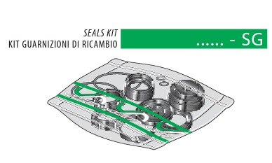 Vesta AW2 32 SG : Seal kit for AW2 series Vesta cylinder 32mm bore